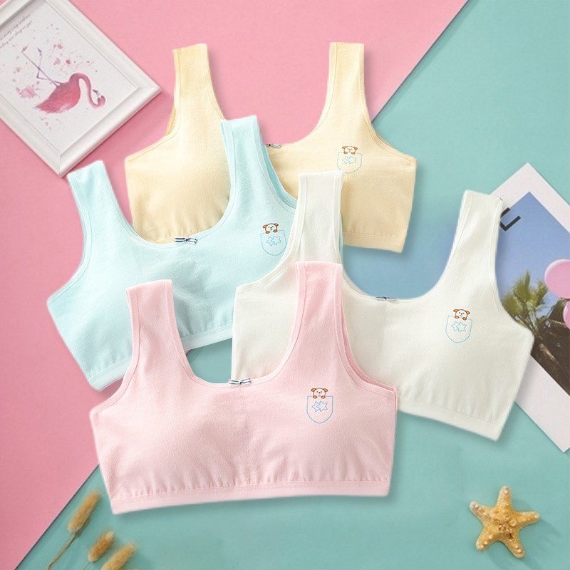 Primary Student Vest Female Junior High Girl High School Underwear Pure Cotton Bra - Image 4