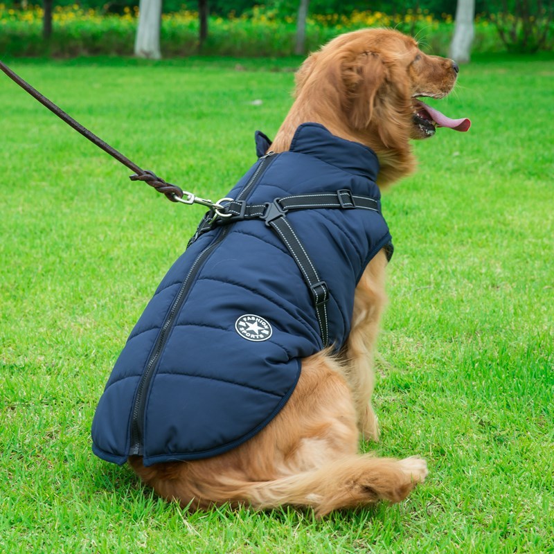 Pet Dog Clothes For Small Dogs Winter Warm Dog Hooded Coat Jackets Chihuahua Pug Outfits Puppy Cat Clothing - Image 2