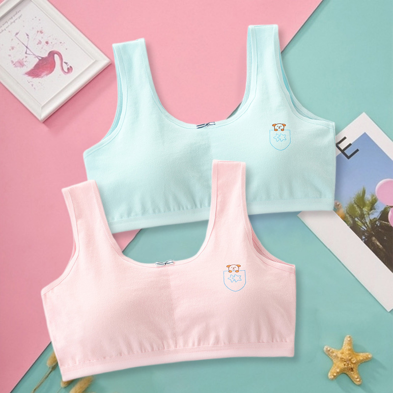 Primary Student Vest Female Junior High Girl High School Underwear Pure Cotton Bra - Image 5